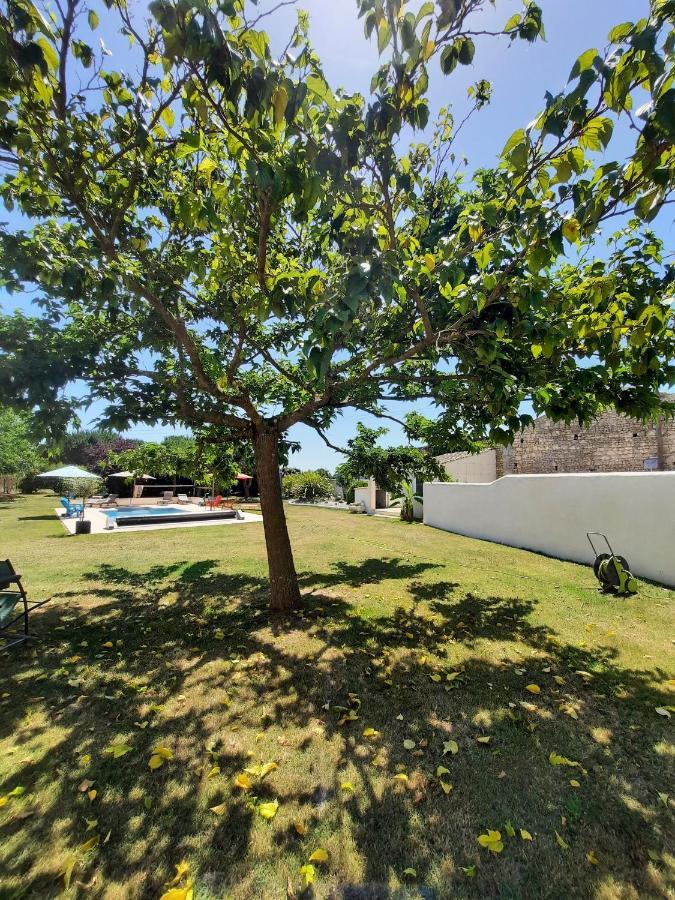 Gite 4 Personnes Avec Piscine Entre Saintes Et Royan Balanzac 外观 照片