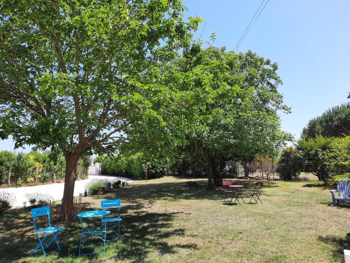 Gite 4 Personnes Avec Piscine Entre Saintes Et Royan Balanzac 外观 照片